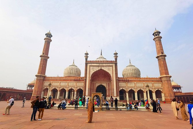 7-Day India Golden Triangle Private Tour - Accommodation Details