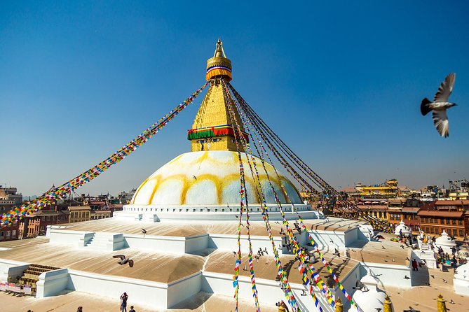 7-Day Kathmandu & Pokhara Highlights Tour - Pokhara Excursions