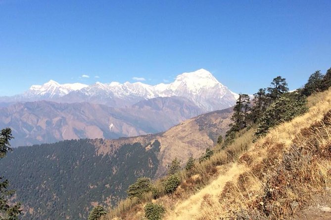 7 Days Khopra Danda Trek From Pokhara - Day 2: Ghorepani Trekking Experience