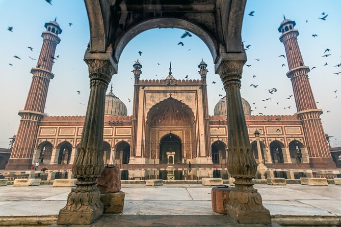 7 Days Private Tour of Taj Mahal, Tigers, Palace and Forts of India - Traveler Experience and Reviews