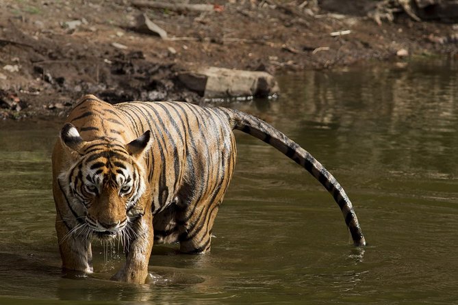 8-Days Golden Triangle & Ranthambore Private Tour - Cancellation Policy