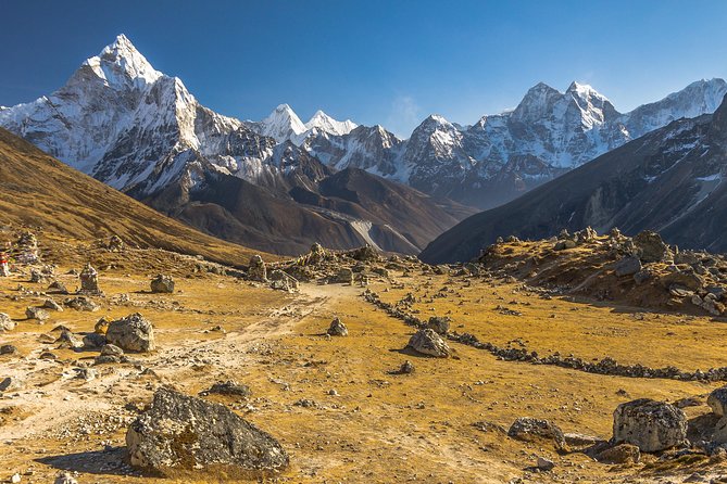 9 Days Everest Gorak Shep Trek - Meals and Dining