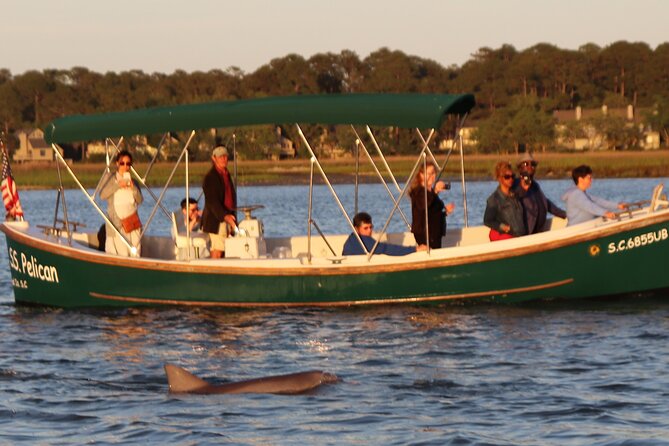 90 Minute Tour to See Dolphins in Hilton Head Island - Booking Confirmation and Accessibility