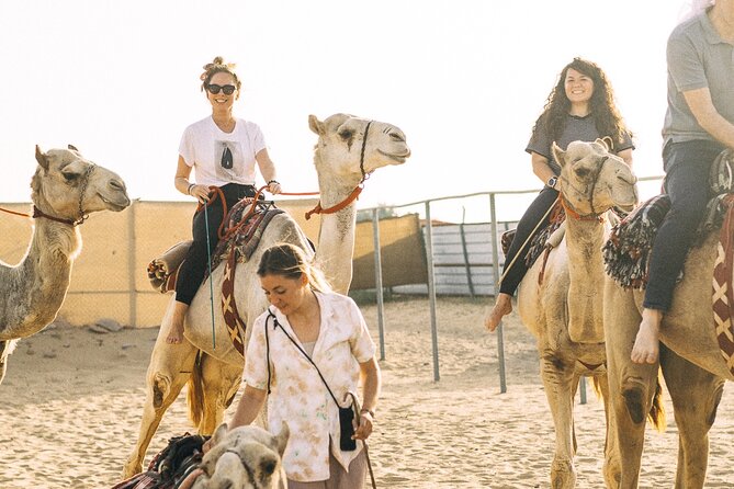 90 Minutes Guided Cultural Camel Riding in Dubai - Reviews and Ratings