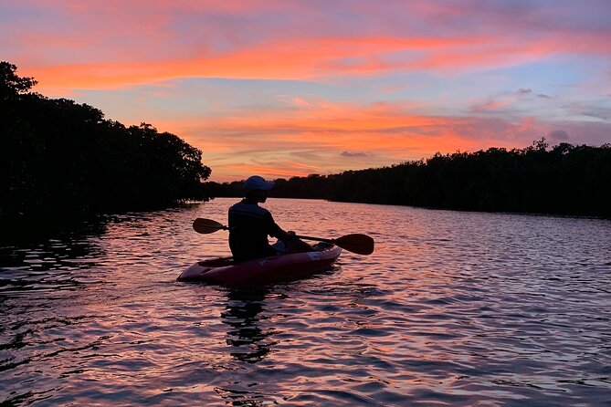 A Private Half-Day Kayaking Experience in Nichupté Lagoon  - Cancun - Location Information at Blue Marina