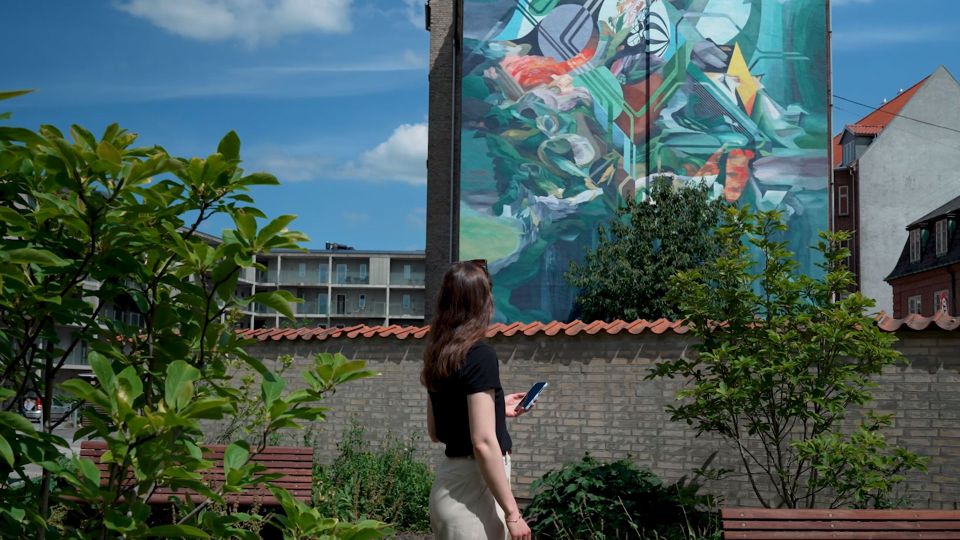 Aalborg Street Art: Explore 79 Wall Paintings - Immerse Yourself in Local Artistry