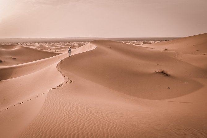 Abu Dhabi Desert Safari 4x4 Dune Bashing & Camel Riding & Sand Boarding With BBQ - Safety Guidelines