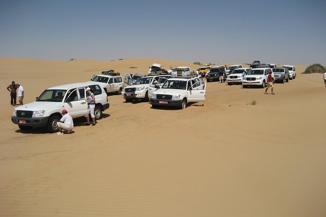 Abu Dhabi Desert Safari Dune Bashing,Came,Belly Dance & BBQ - Capture the Magic of the Desert Sunset