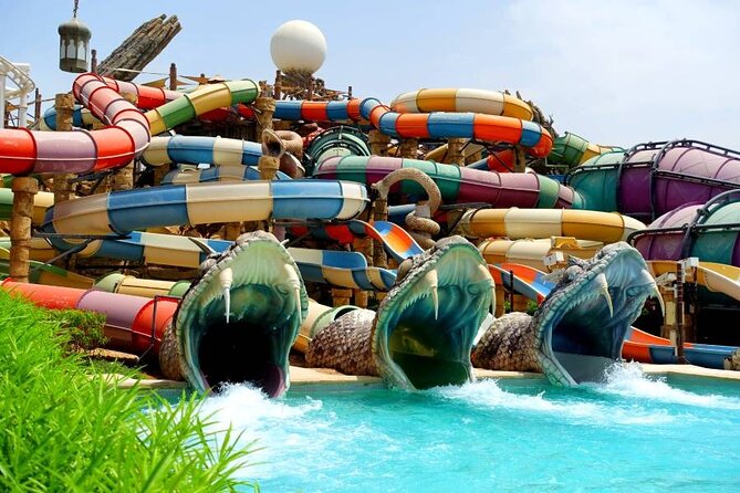 Abu Dhabi - YAS Water World Or Warner Bros Theme Park From Dubai - Experience at Yas Water World