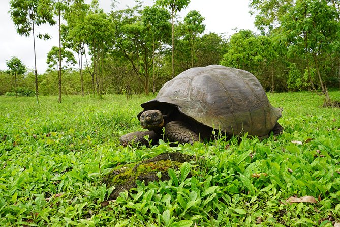 Active Galapagos Island Tour 10 Days - Packing Essentials