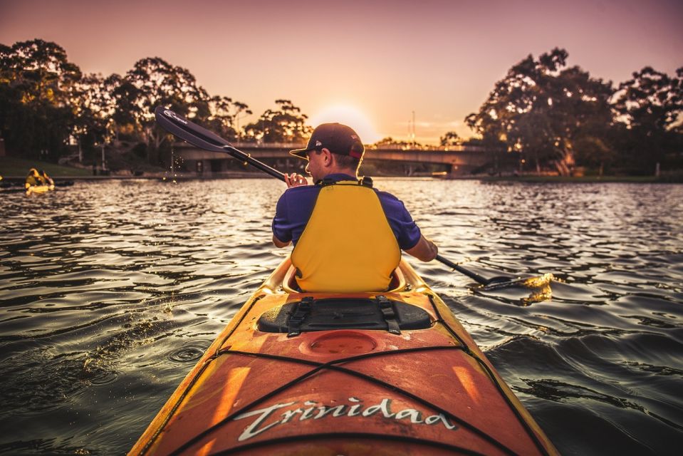 Adelaide: City Kayaking Experience - Customer Reviews