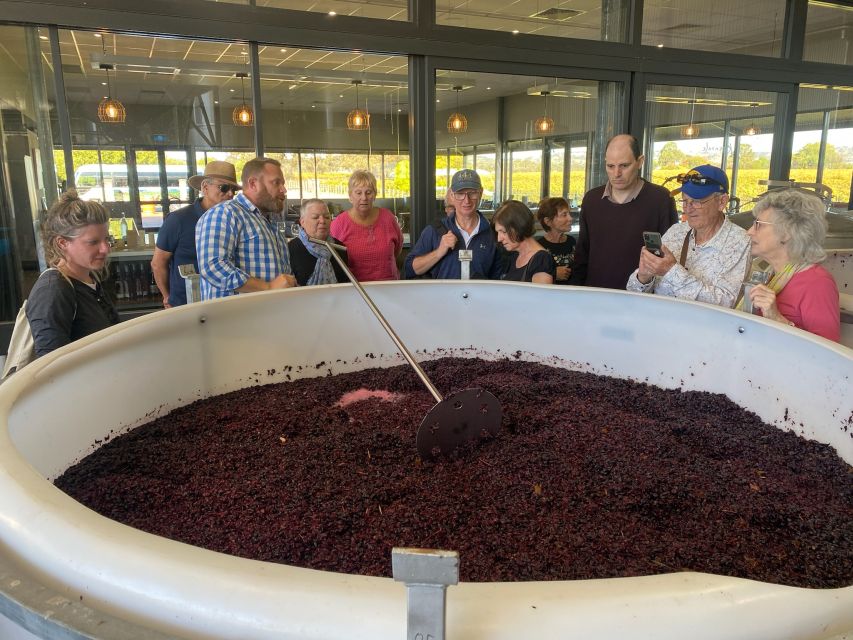 Adelaide: the Barossa Valley Premium Wine Tour With Lunch - Wine Tour Highlights