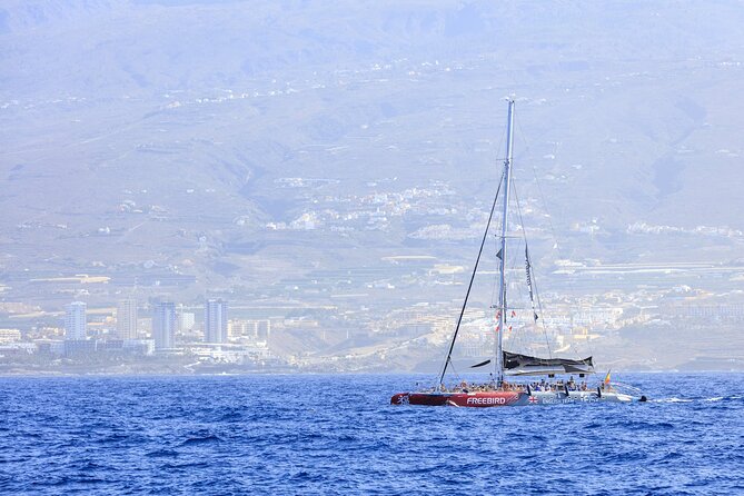 Adults Only Tenerife Freebird Whale Dolphin Catamaran With Lunch - Directions
