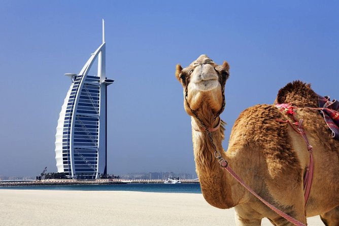 Afternoon Dubai City Tour - Booking and Pricing