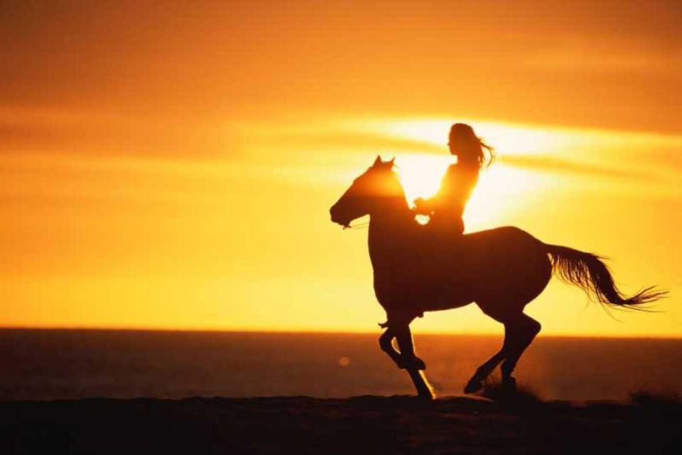 Agadir and Taghazout: 2-Hour Sunset Beach Horseback Ride - Review Summary