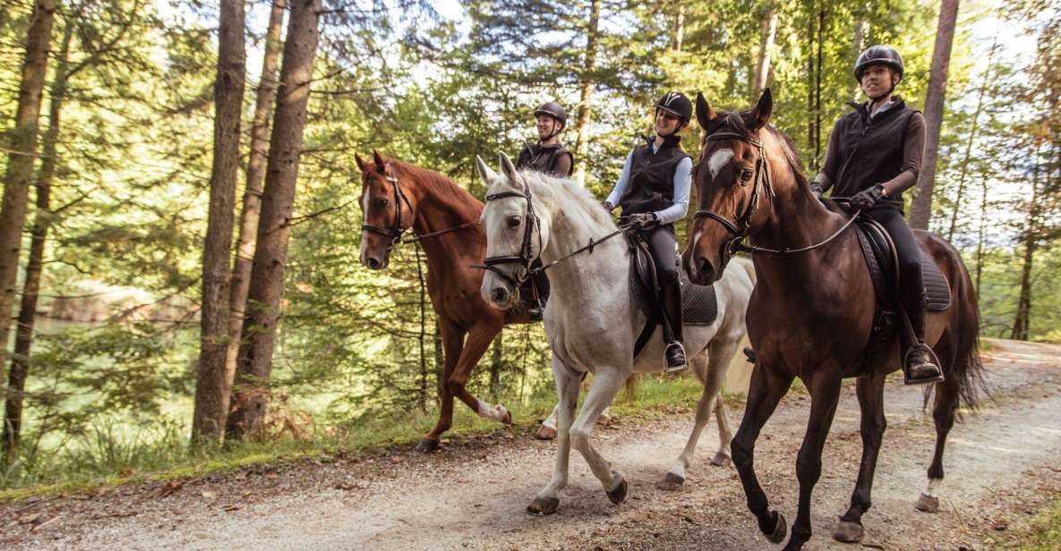 Agadir: Forest and Sand Dunes Guided Horse Riding Tour - Experience Highlights