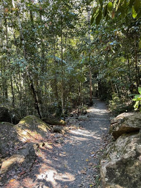 Airlie Beach: Platypus, Eungella and Waterfalls Day Tour - Booking Information