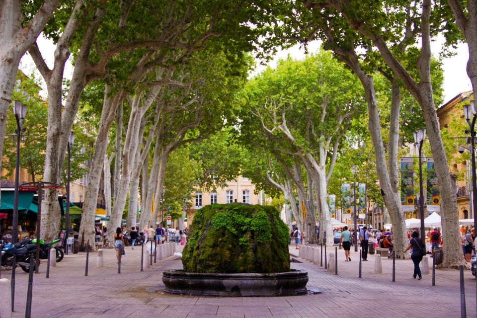 Aix-en-Provence: Half-Day Shore Excursion Tour - Customer Testimonials and Feedback