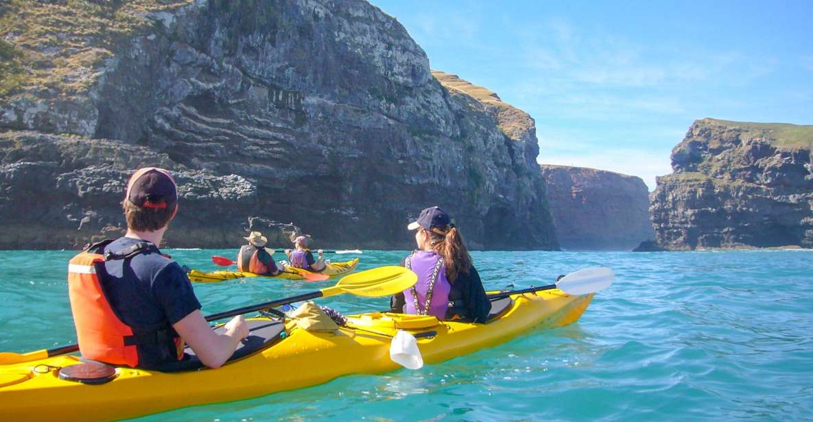 Akaroa: 4WD Safari and Guided Sea-Kayaking Experience - Sea-Kayaking Experience