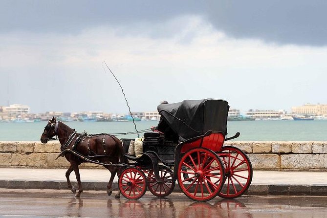 Alexandria Horse Carriage Tour - Logistics Information