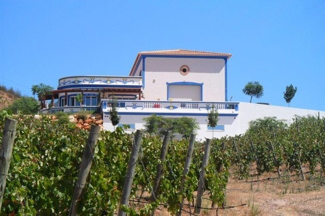 Algarve Wine Tour and Farmers Lunch at Wine Estate - Winery Visits