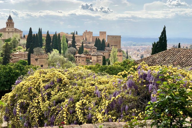 Alhambra Private Tour From Almeria: With Transport and Skip-The-Line-Tickets - Last Words