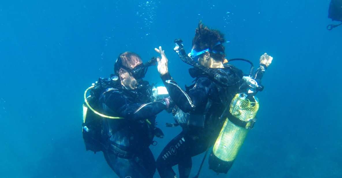 Alicante: Denia Beginners Scuba Diving Experience - Customer Feedback