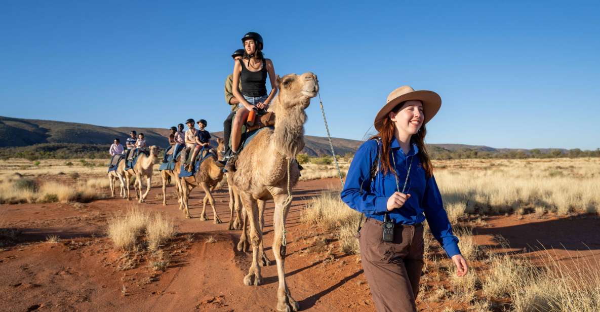 Alice Springs: Guided Outback Camel Ride - Meeting Point