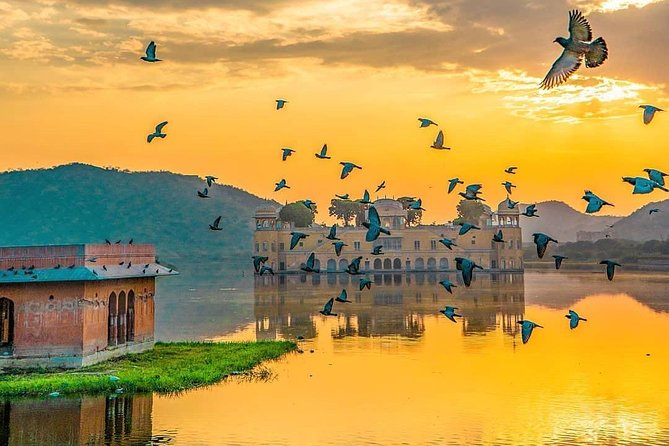 All Inclusive : 5 Days Golden Triangle Tour : Delhi, Agra, Jaipur - Reviews and Feedback From Travelers