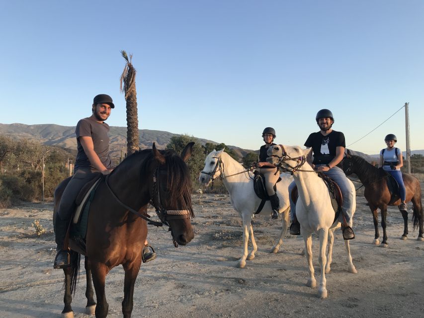 Almeria: Horse Riding Tour Through the Tabernas Desert - Experience Description