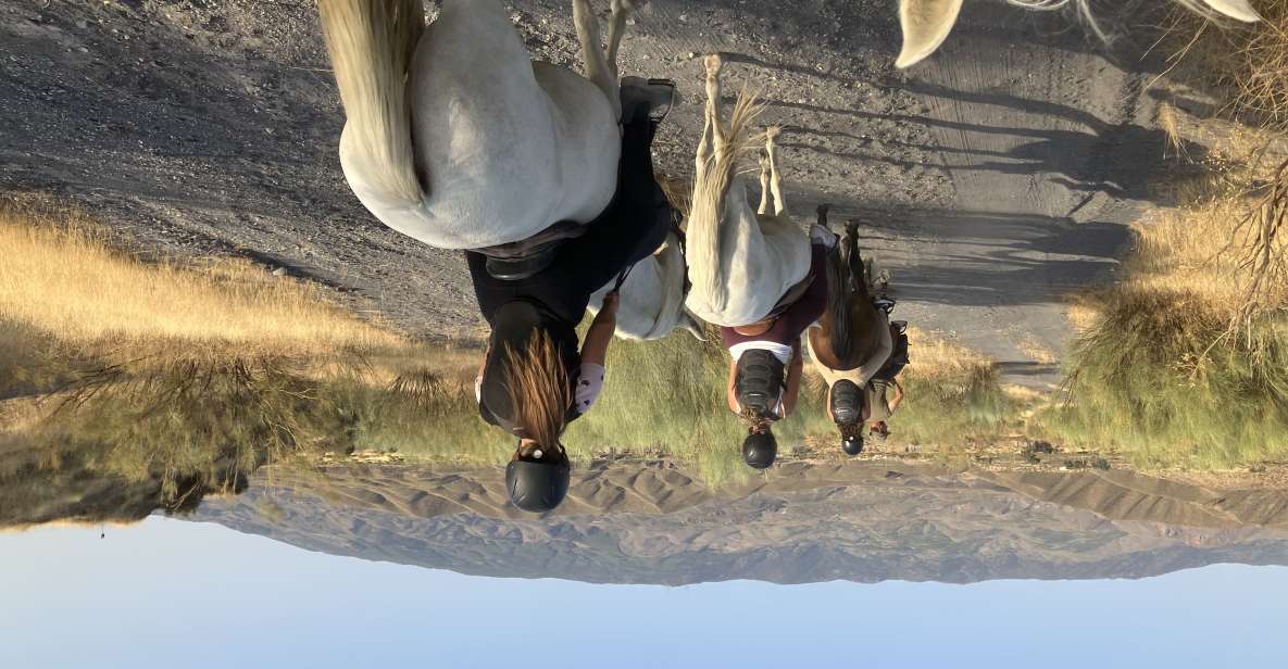 Almeria: Tabernas Desert Horse Riding for Experienced Riders - Activity Experience