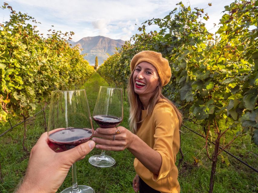 Alsace Wine Odyssey: Full-Day Private Tour From Strasbourg - Booking Details