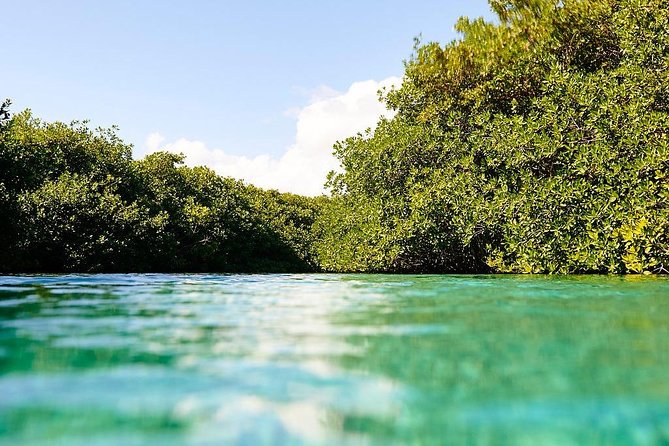 Amazing Beginner Dive in Tulum Cenote (Or Refresher Dive) - Instructor and Guide Details