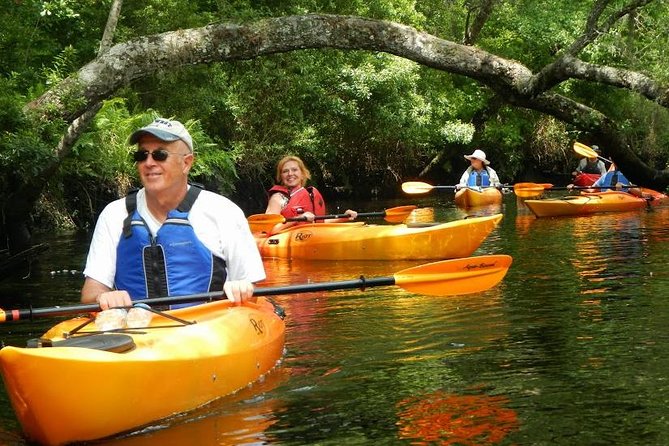 Amelia Island Area Kayak Rental on Lofton Creek With Adventures up the Creek - Additional Information