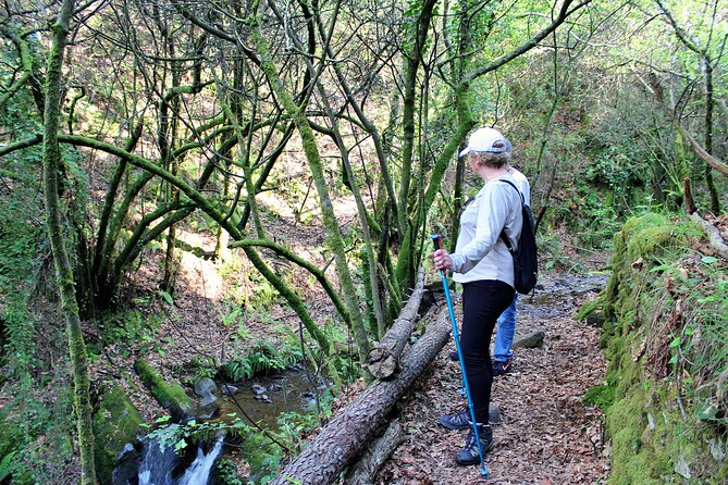 An Adventure Through the Schist Villages of Lousã (With Walk) - Common questions