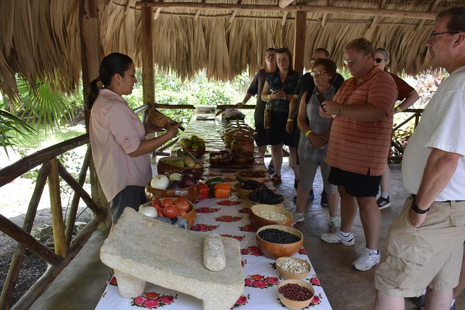 Ancient Chacchoben Mayan Ruins & Mayan Experience From Costa Maya - Tour Highlights