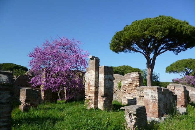 Ancient Ostia Full Day Tour With Pick up - Lunch and Refreshments