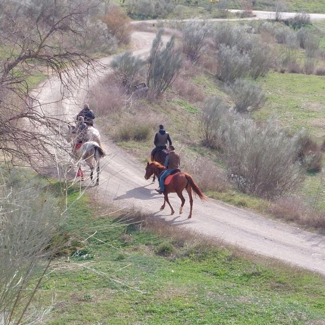 Andalucia: Horse Riding Tour With Picnic - Experience Highlights