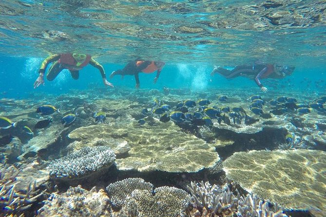 Angthong National Marine Park ( 42 Islands ) by Speed Boat - Visiting Talay Nai