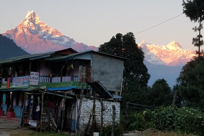 Annapurna Base Camp Trekking - 14 Days - Day 3: Pokhara to Nayapul to Ghandruk