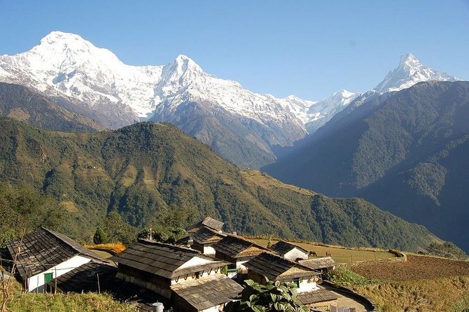 Annapurna Ghorepani Poon Hill Trek From Pokhara Short and Easy Hike in Himalaya - Common questions