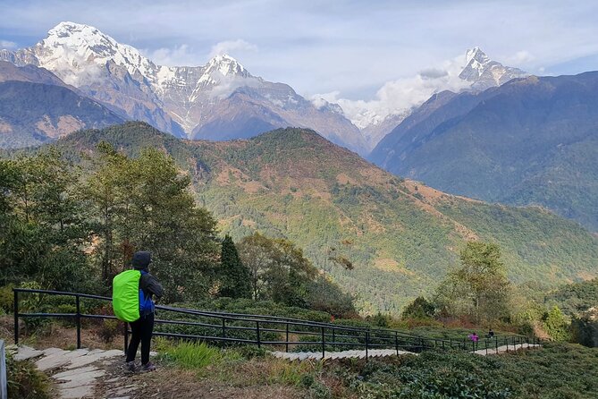 Annapurna Poon Hill Sunrise Trek - Local Culture Experience