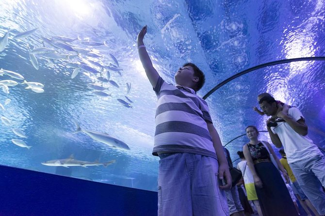 Antalya Aquarium Admission With Optional Antalya City Tour and Duden Waterfall - Meeting and Pickup Details