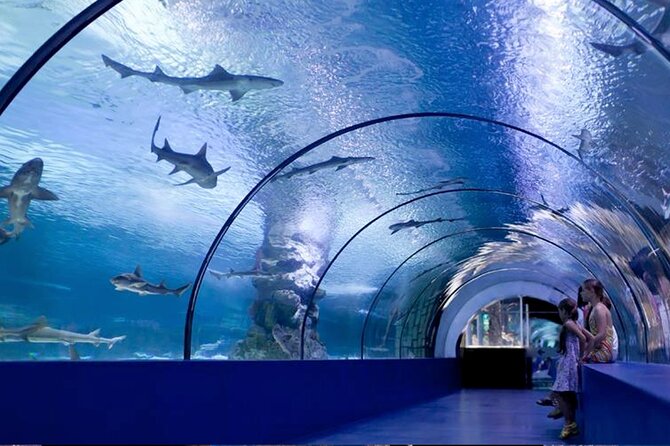 Antalya Aquarium Full-Day Trip - Terms and Conditions for Booking