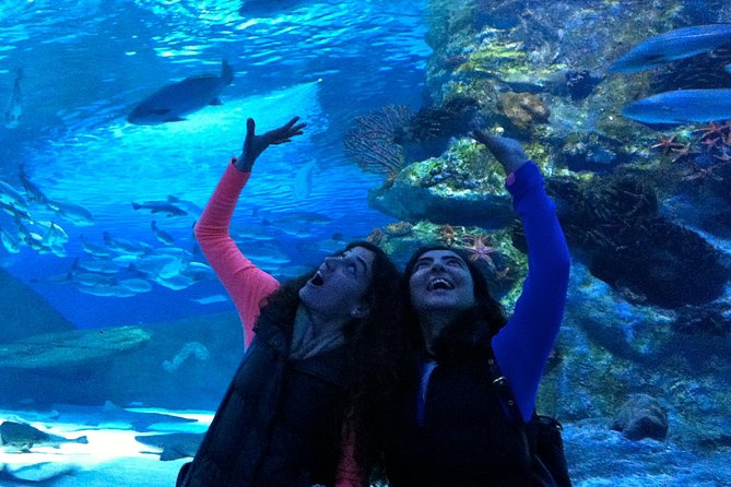 Antalya City Tour, Aquarium, and Lara Waterfall With Transfer - Inclusions