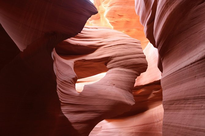Antelope Canyon Luxury Private Tour From Las Vegas - Tour Highlights