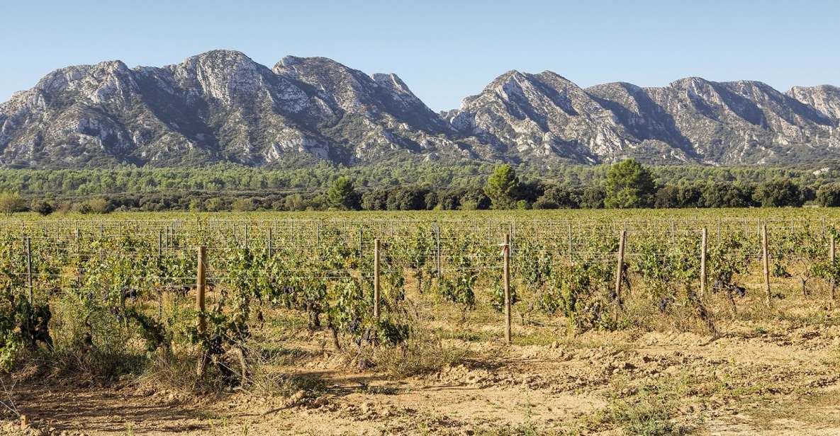 Arles, Saint-Rémy & Les Baux De Provence: Guided Tour - Tour Description