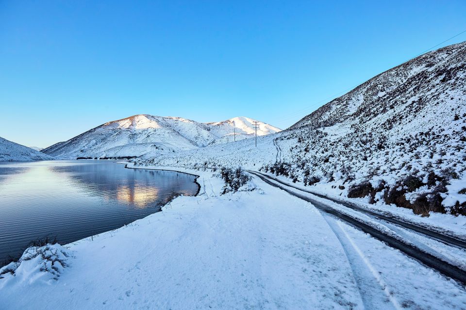 Arthur's Pass: TranzAlpine Train and Castle Hill Day Tour - Booking Information