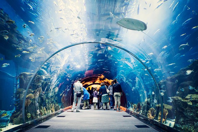 At The Top Burj Khalifa & "Aquarium" Dubai Mall Tickets - Cancellation Policy for Burj Khalifa & Aquarium