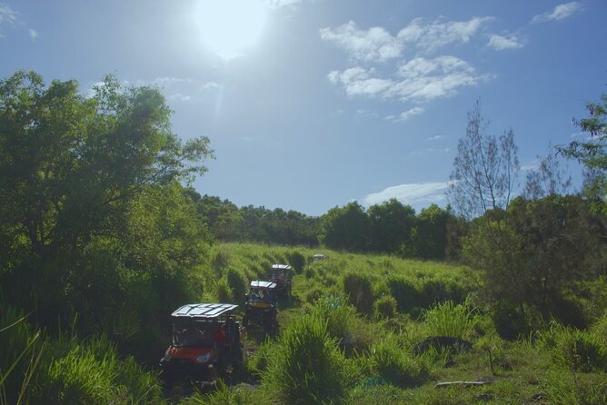 ATV 4WD UTV Scenic Guided Tour Near Waipio Valley and Kona - Traveler Experience